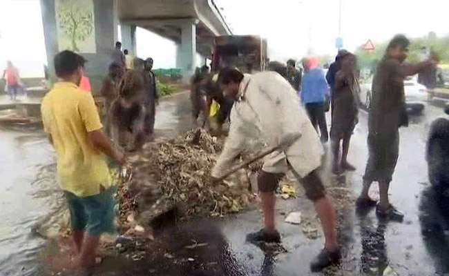 High Tide Spills Garbage Along Marine Drive, 12 Tonnes Removed