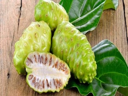 Noni Fruit Benefits: इम्यूनिटी से लेकर गठिया तक, नोनी फ्रूट खाने के 7 फायदे Noni Fruit Benefits: इम्यूनिटी से लेकर गठिया तक, नोनी फ्रूट खाने के 7 फायदे