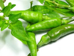 How To Store Green Chillies To Increase Their Shelf Life How To Store Green Chillies To Increase Their Shelf Life