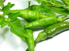 How To Store Green Chillies To Increase Their Shelf Life