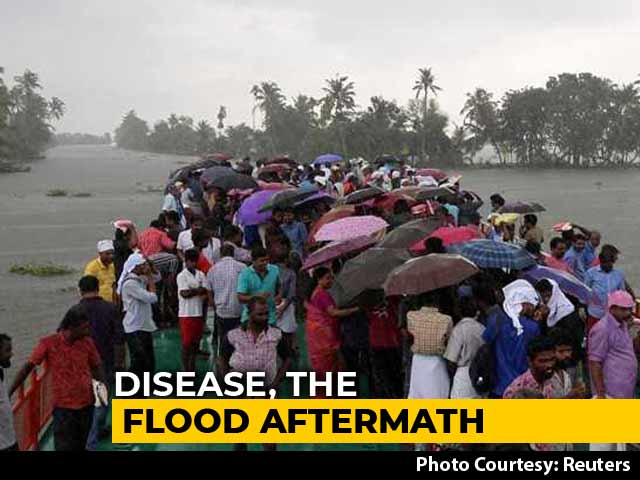 'Rat Fever' Cases Rise After Kerala Floods,12 Dead Since August 1