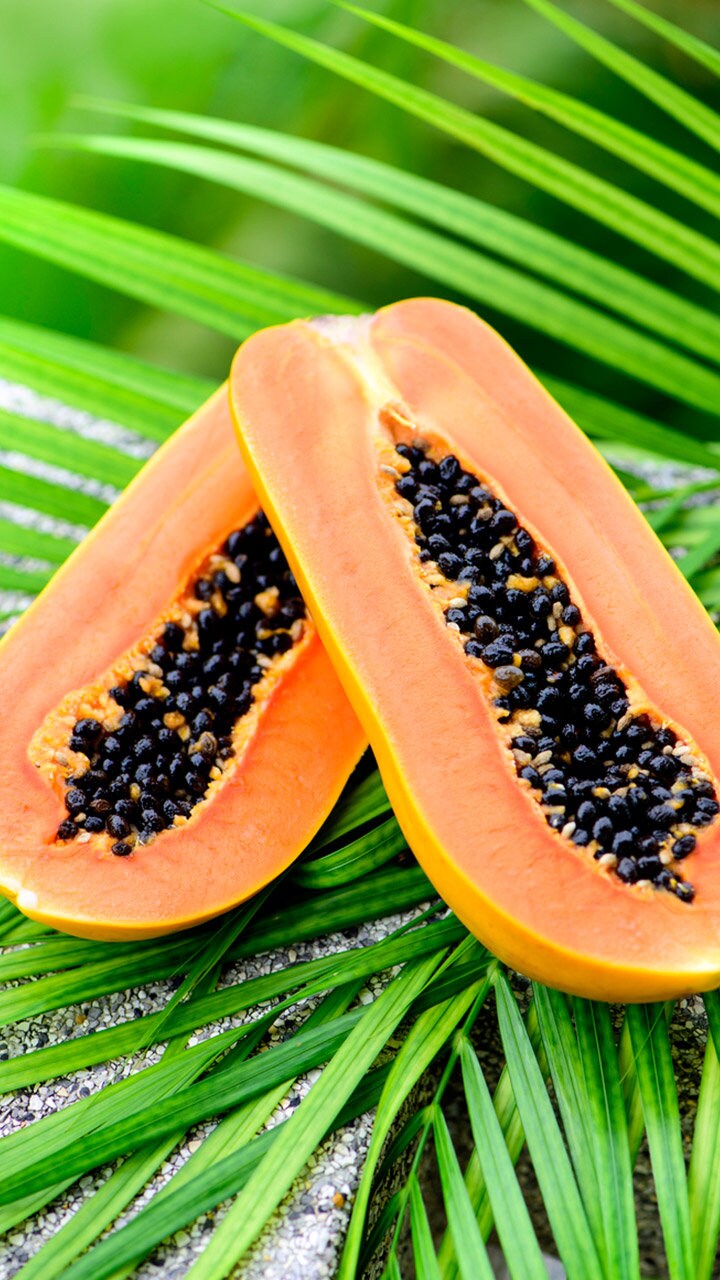 papaya