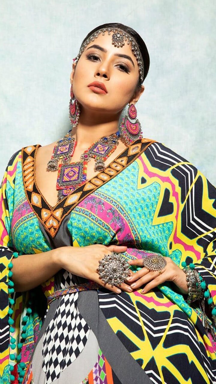 Shehnaaz Gills Amazing Hairstyle