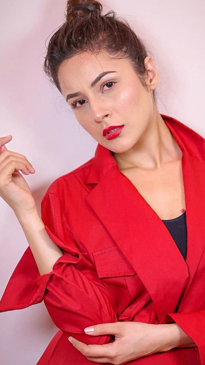 Shehnaaz Gills high bun Hairstyle