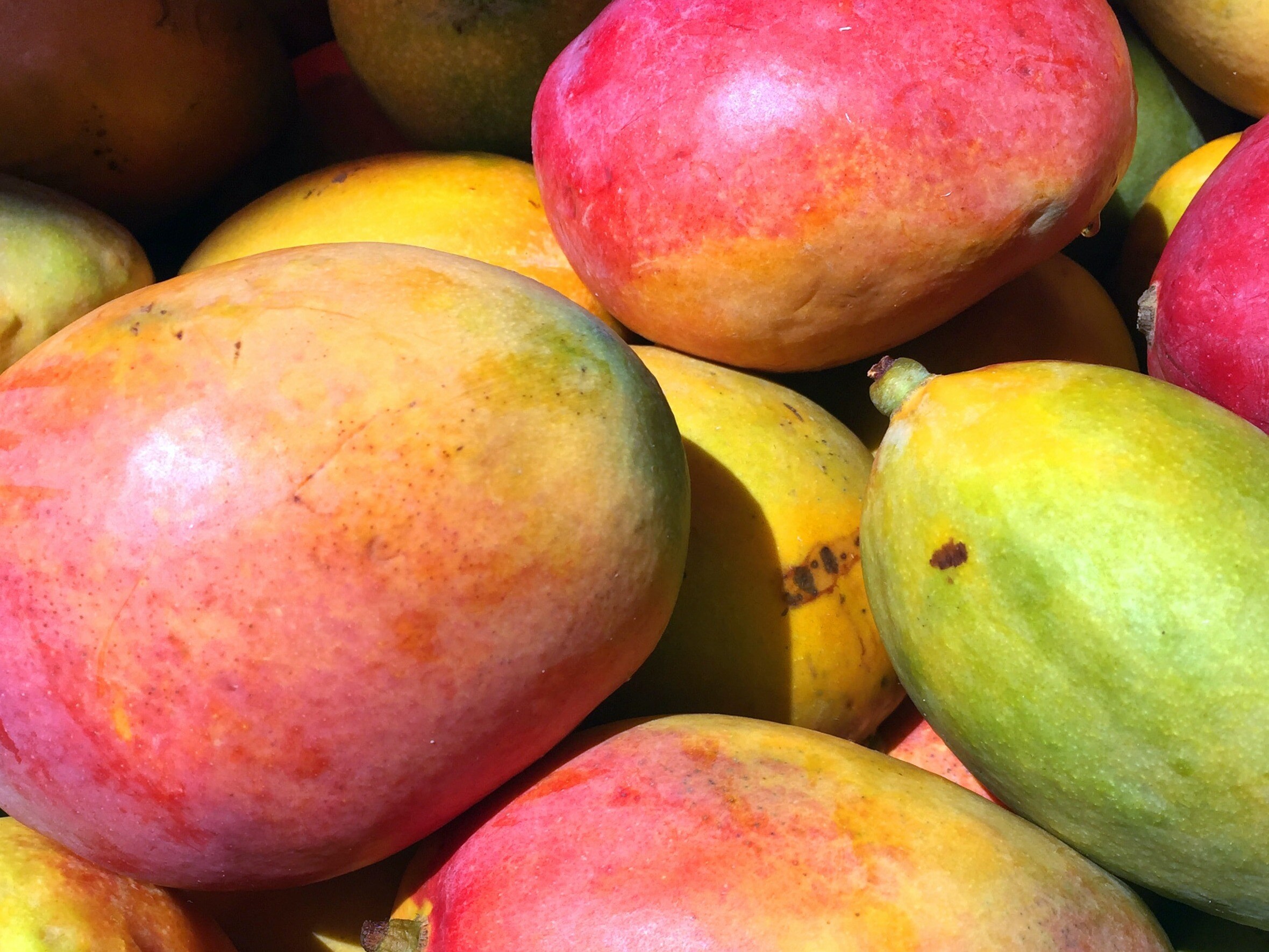 5 Healthy Mango Recipes For Summer