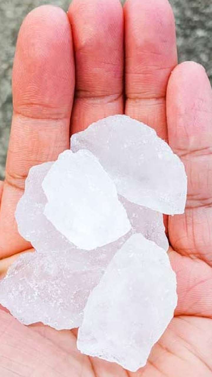 Latest and Breaking News on NDTV Latest and Breaking News on NDTV