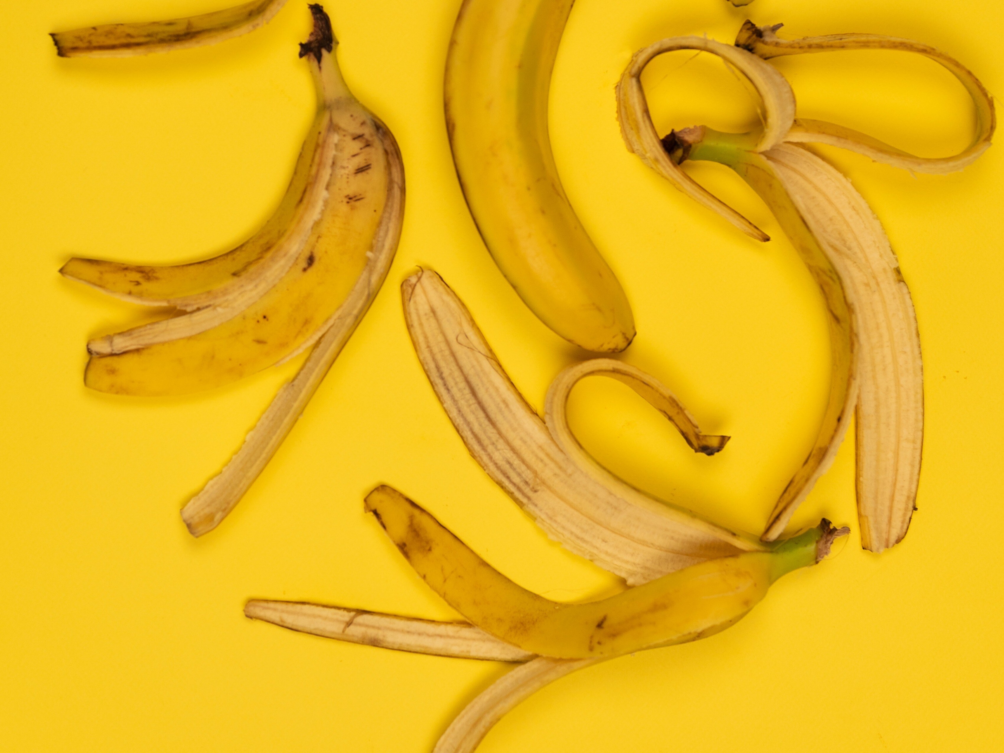 ???? ????? ???? ?? ????? ?? ???? ??? ?????