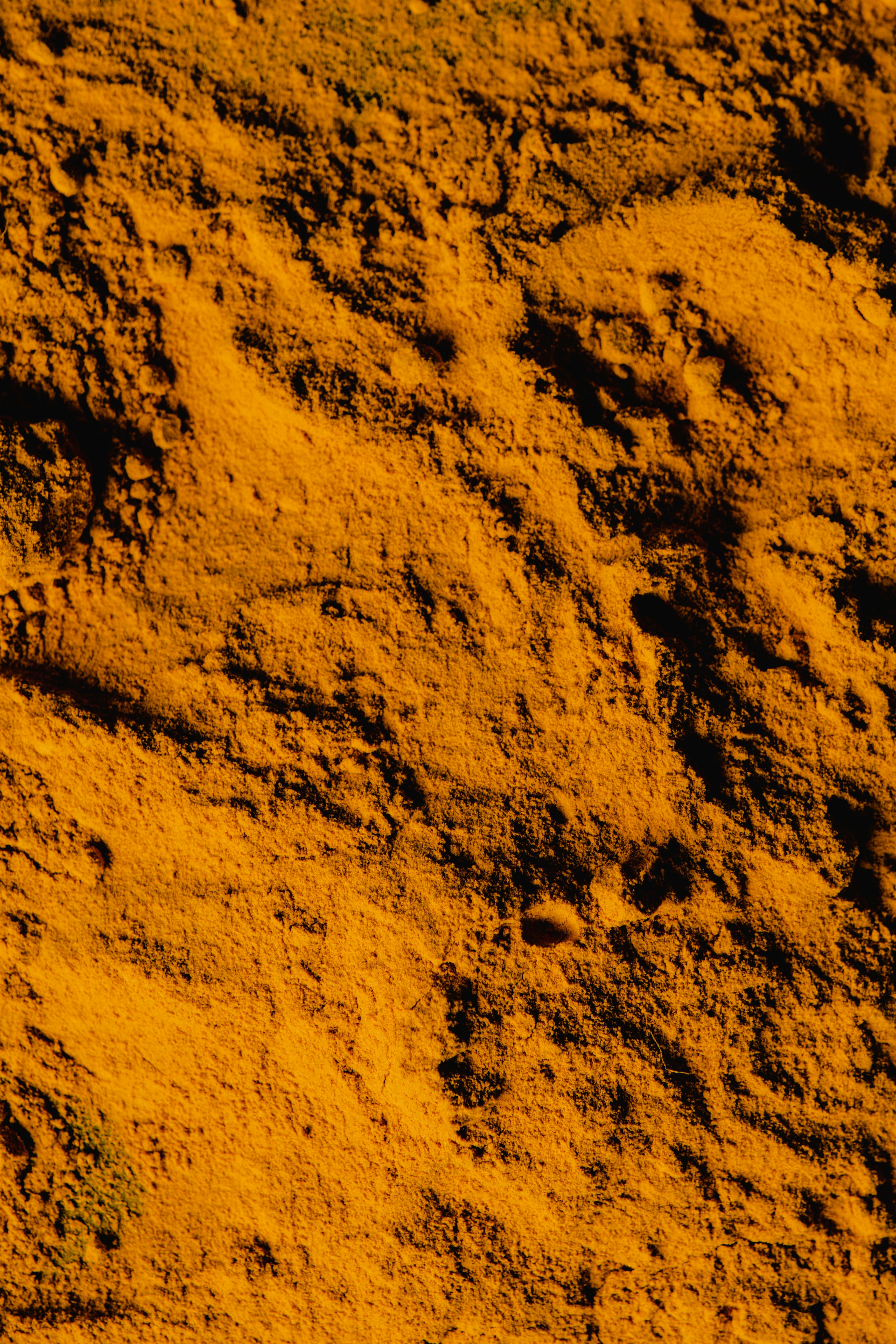 pexels-eva-bronzini-6104651-gufskboegb.jpg