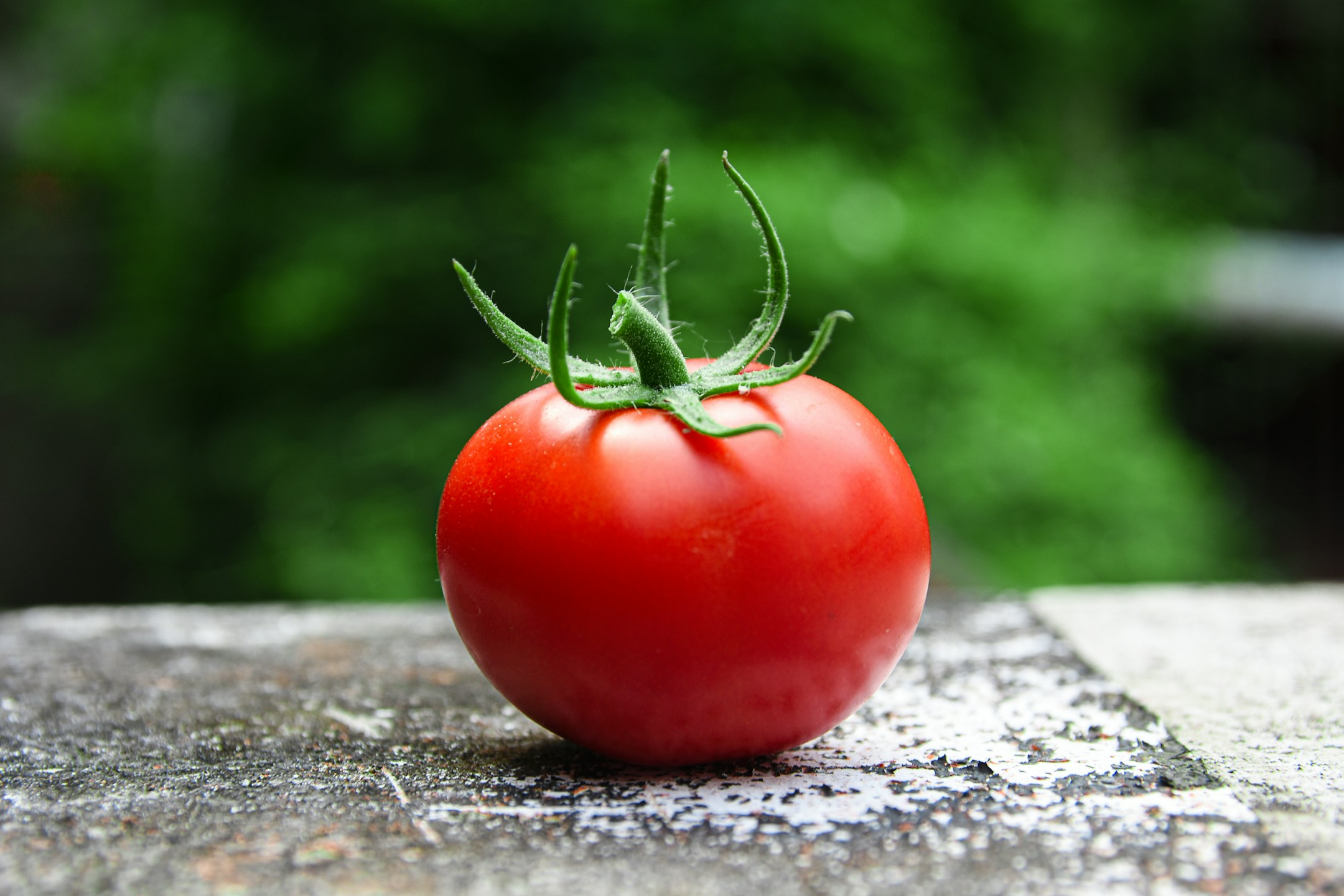 tomato keep you healthy