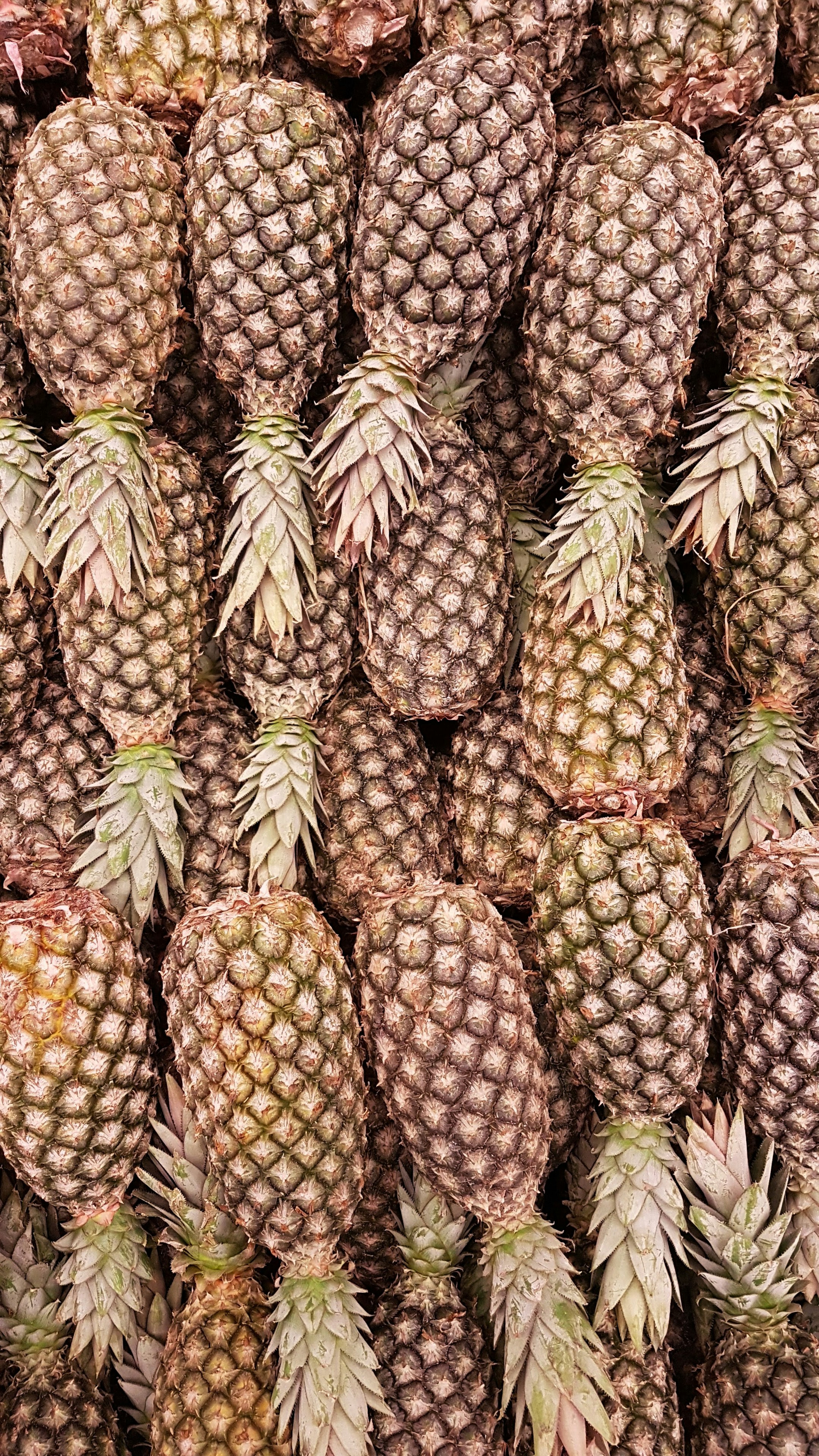 pineapple fruits benefits
