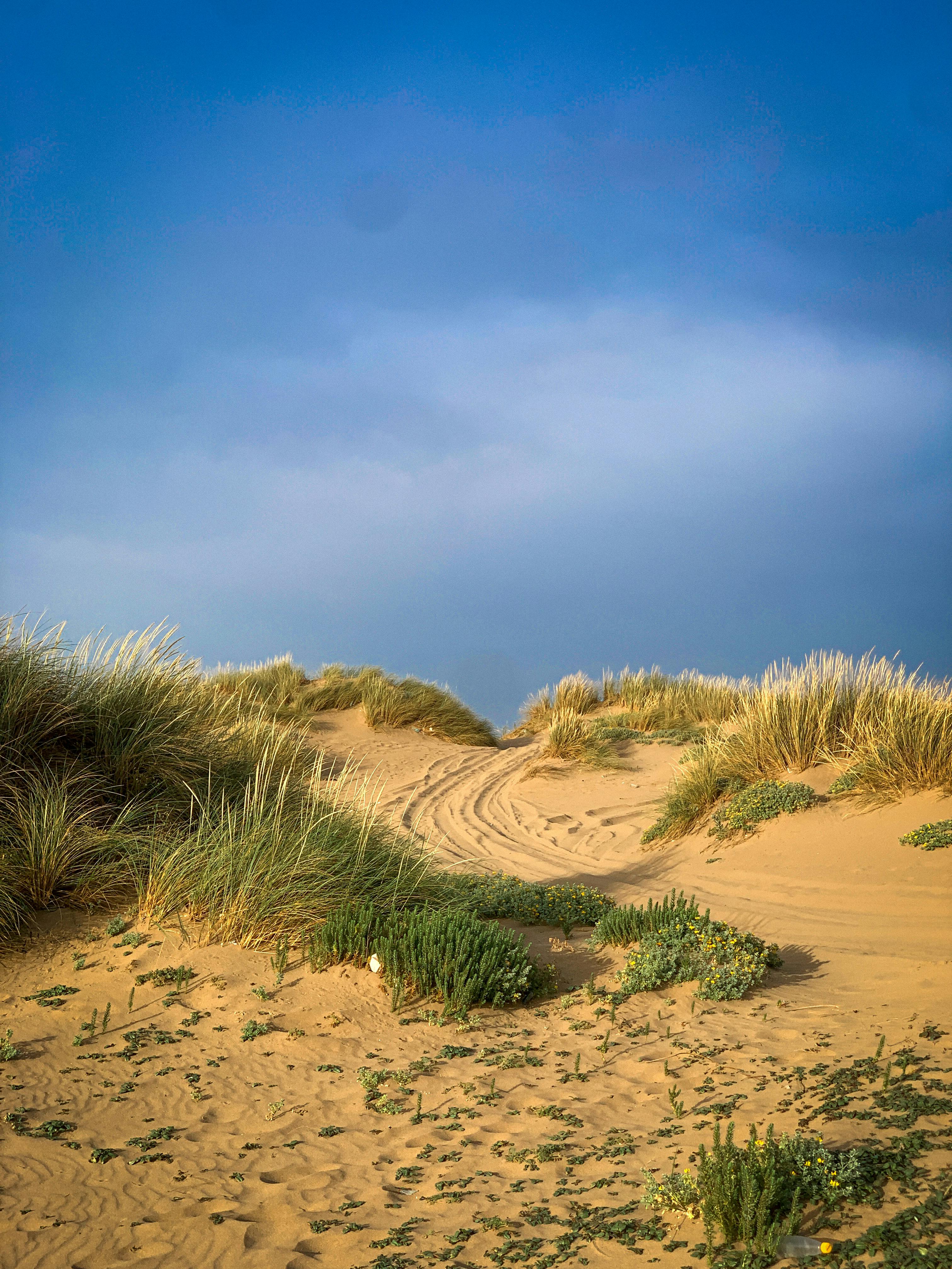 10-perfect-summer-honeymoon-destinations-in-india