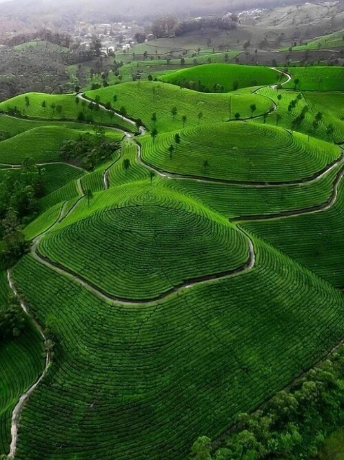 5 Scenic Hill Stations In The World