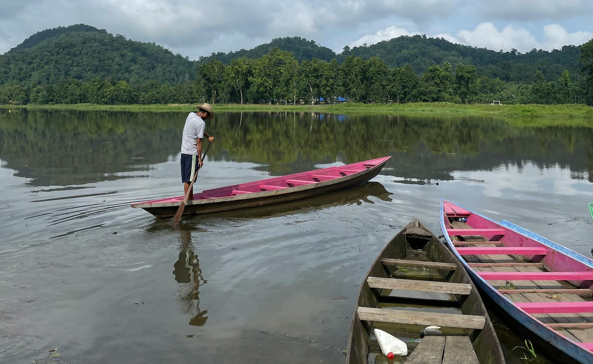 Leadership, Identity: How A 4-Way Fight Is Shaping Up In Assam's Haflong