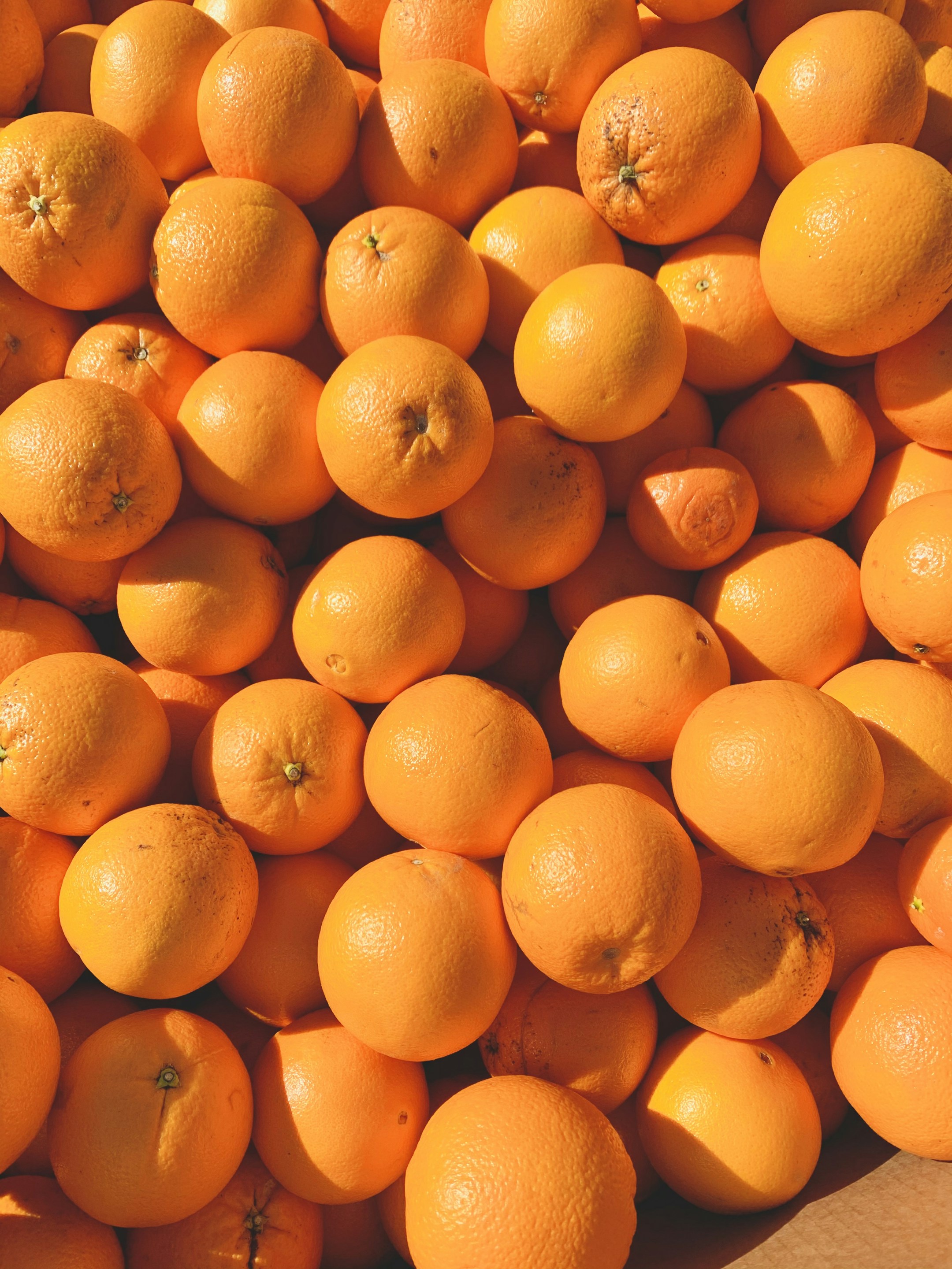 fruits