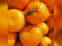 संतरा, मौसंबी या किन्नू, सर्दियों में किसे खाने से मिलेगा ज्यादा विटामिन सी, जानें इसके फायदे