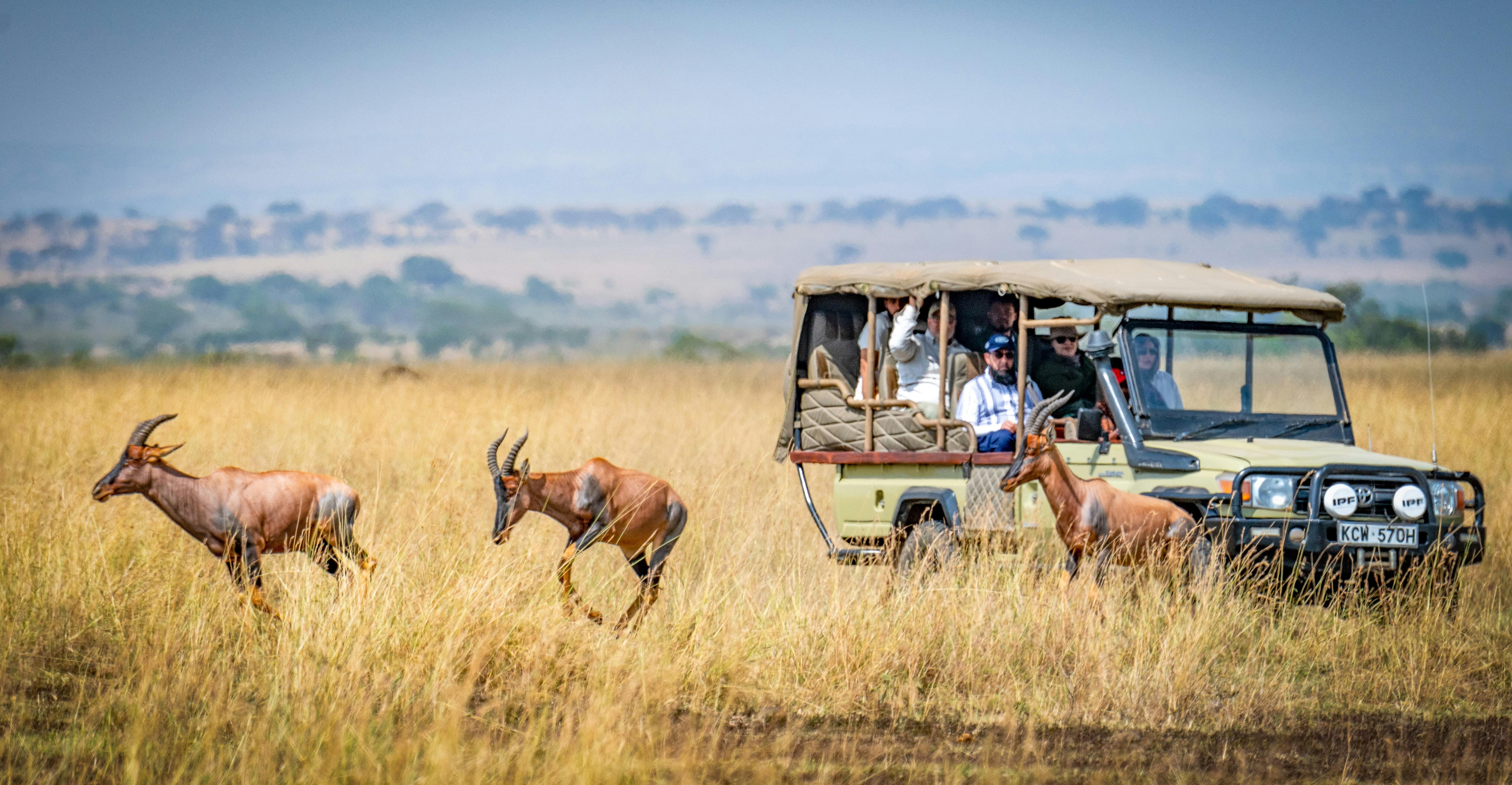 Wildlife Encounters In Masai Mara: 9 Sights You Cannot Miss