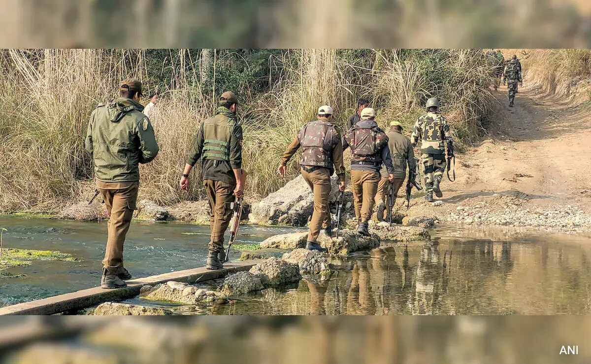 7546updg_bsf_625x300_04_February_24-vjpalzmeba.jpg
