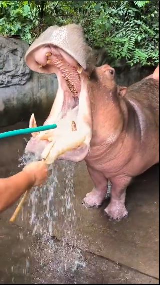lead-bjgvqczahk.jpeg?1728440483