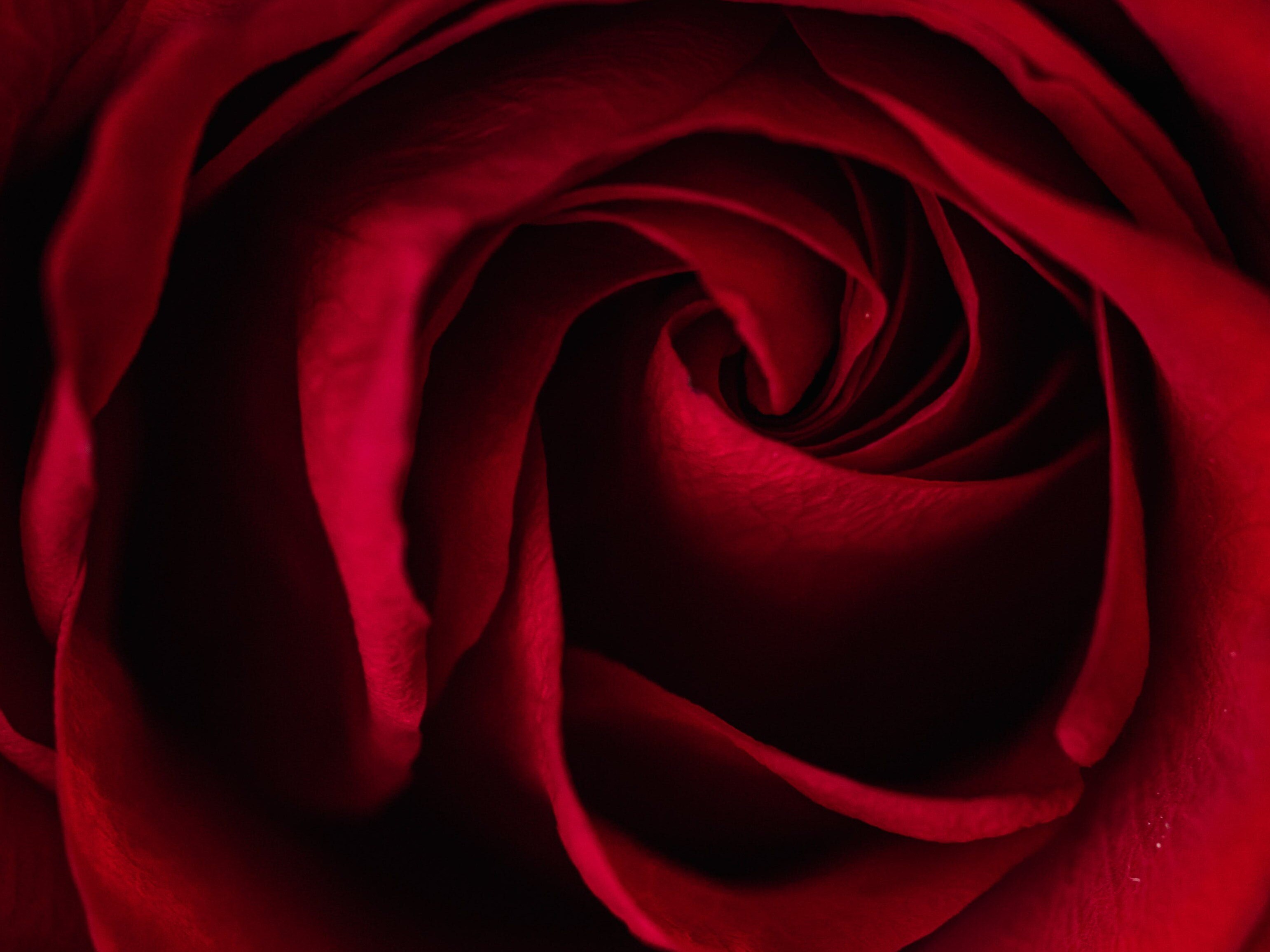 valentine-week-list