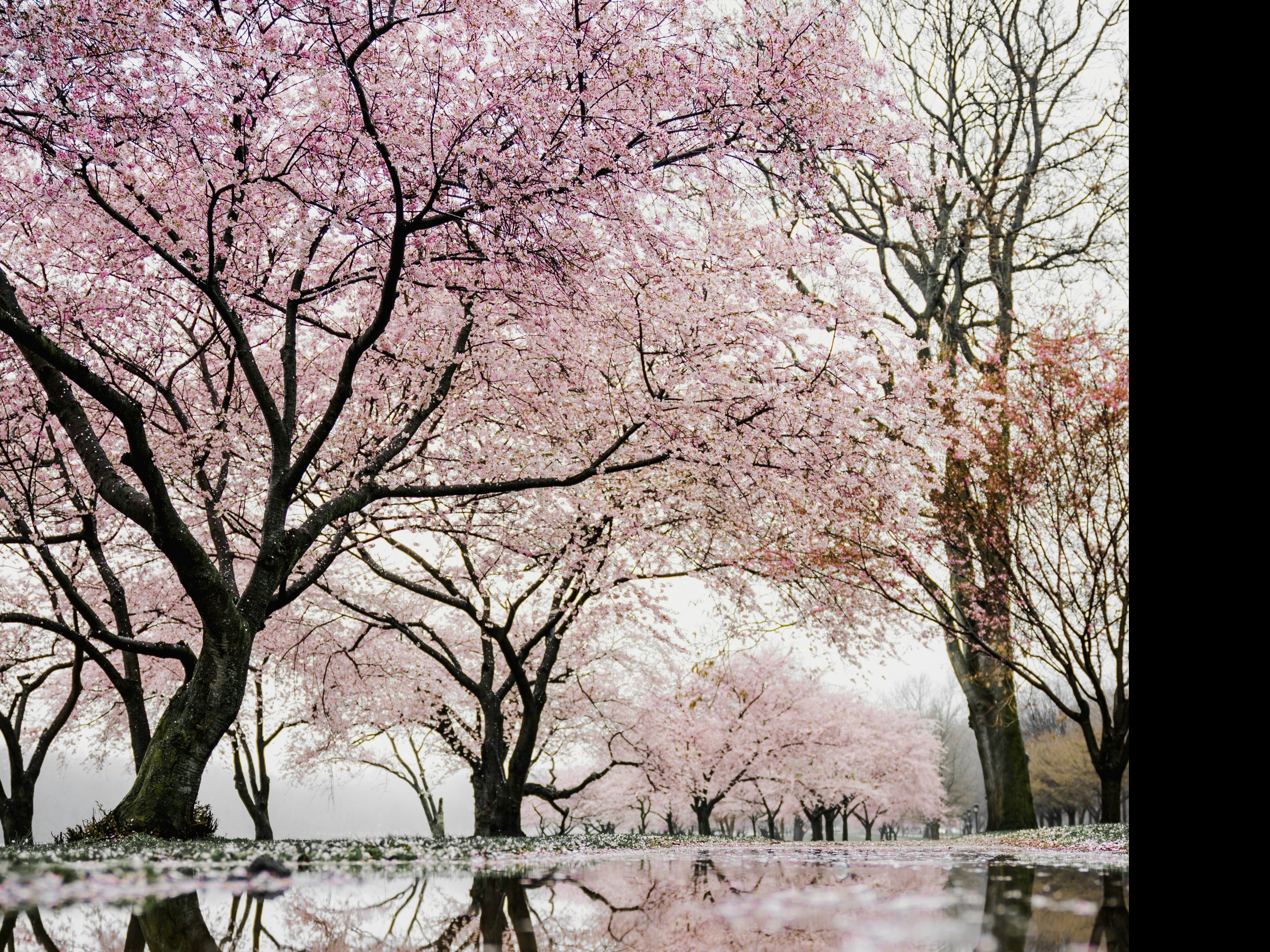 Spring Tourist Best Destinations To Visit In Spring