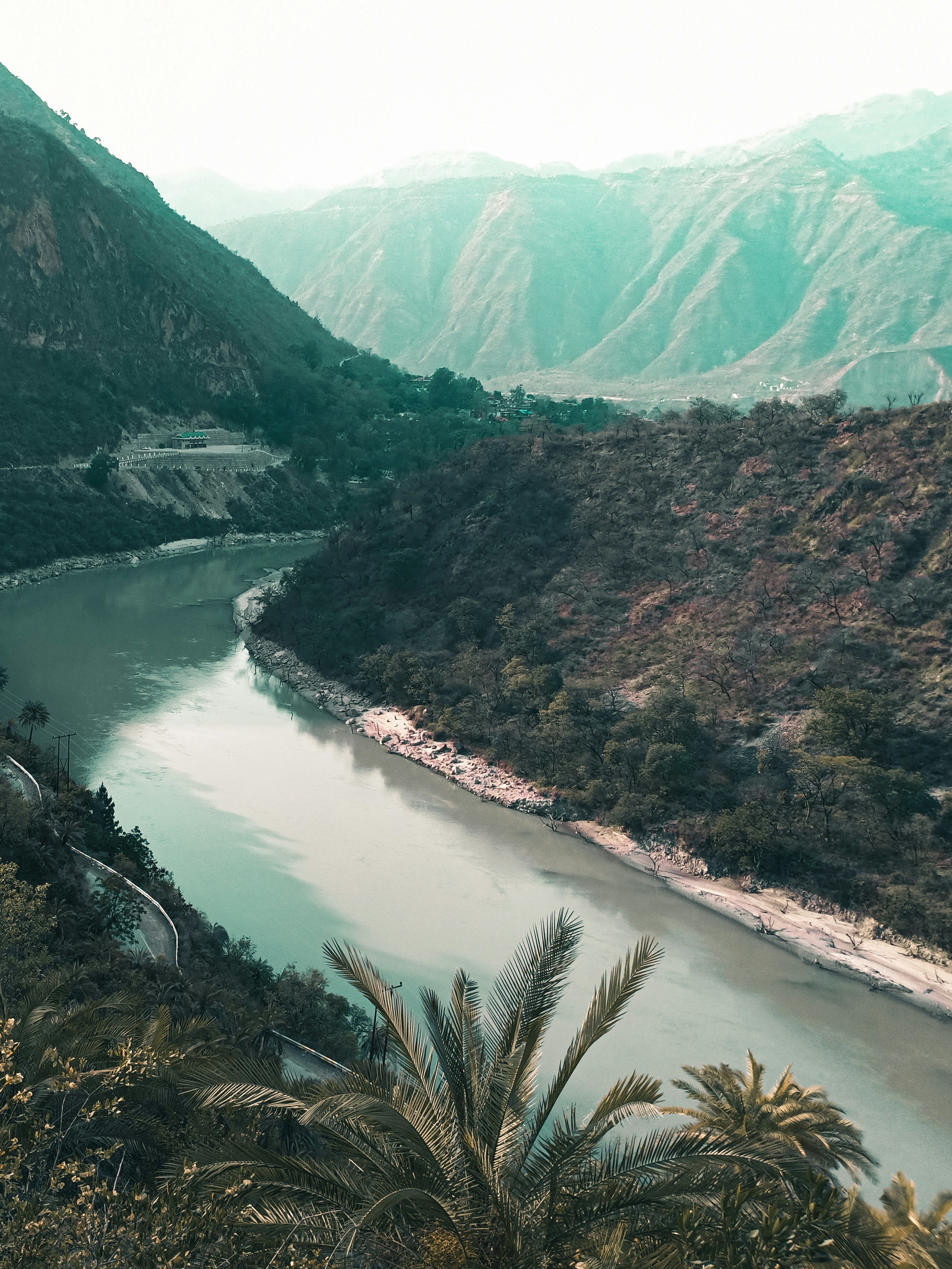 munawar-ywkoonwxal.jpg