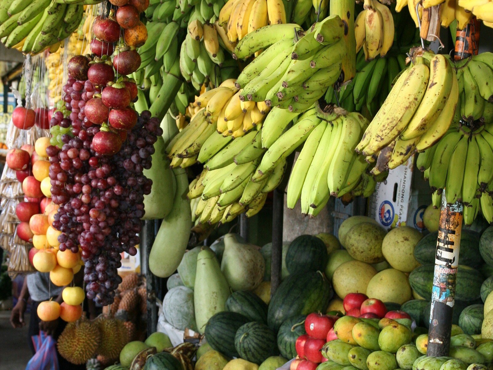 Calorie Content In Fruits