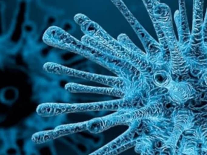 Chandipura Virus: Guide To Symptoms, Treatment