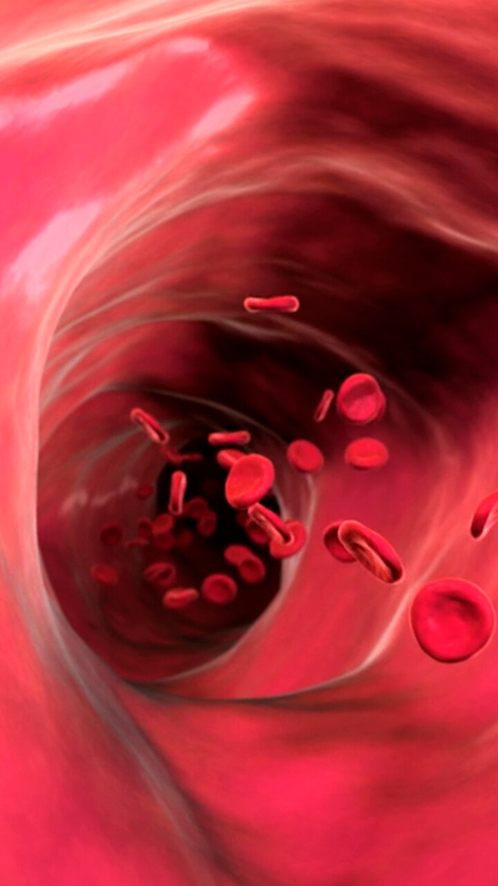 BP-Blood-Pressure -3-ms-afqhyswfpq.jpg