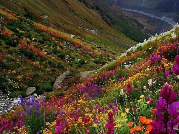 Most Visited Natural Destinations In India