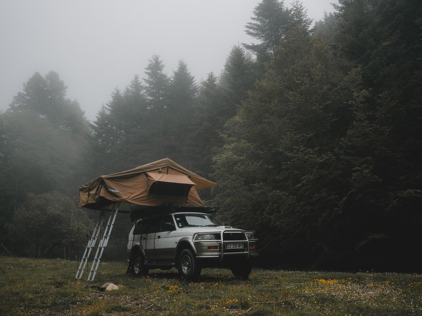 Survival Tips For A Forest Camp