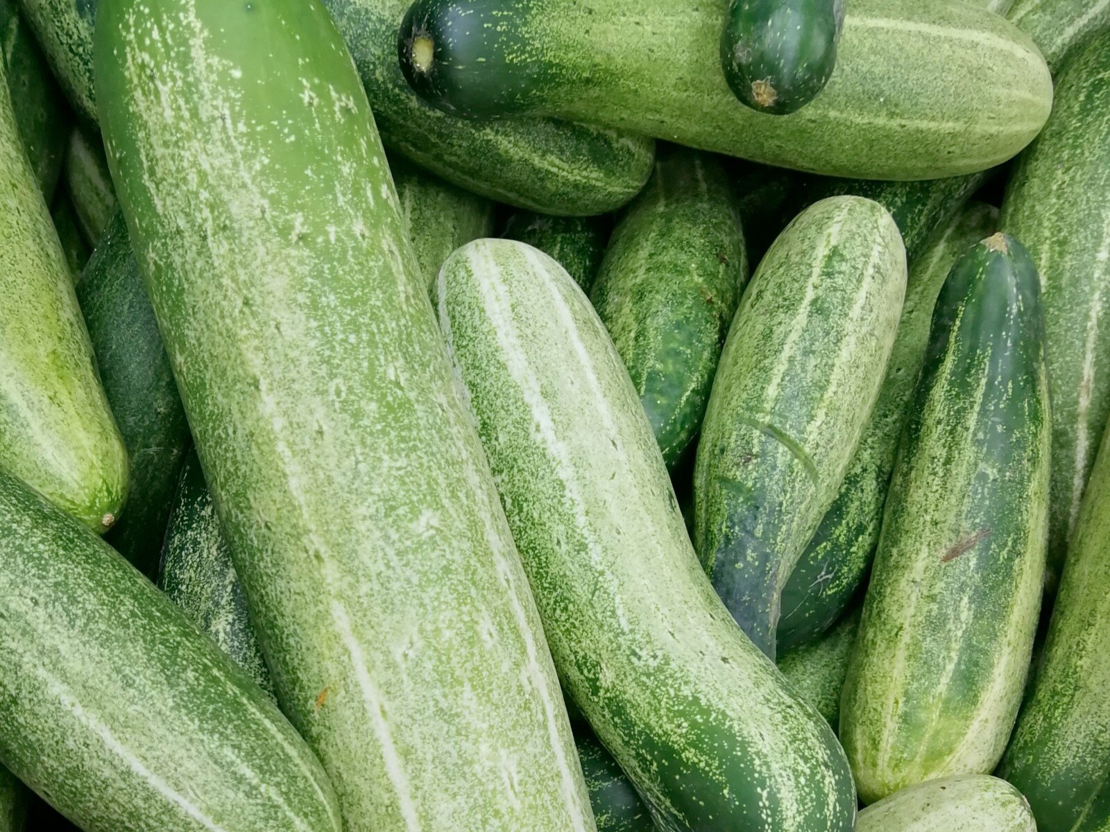 Uses And Benefits Of Cucumbers