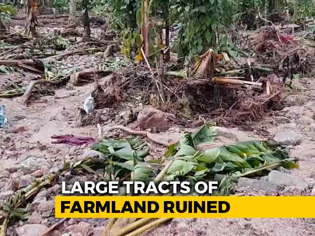 Plight Of Farmers After Kerala Floods In Idukki
