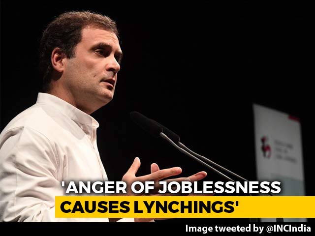 In Germany, Rahul Gandhi Blames Unemployment For Lynchings