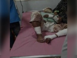 Man Beaten To Death In UP Allegedly Over Cow Slaughter Rumours Man Beaten To Death In UP Allegedly Over Cow Slaughter Rumours