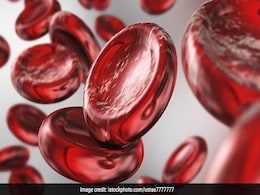 हीमोग्लोबिन चाहते हैं बढ़ाना तो खाएं ये 5 ड्राई फ्रूट्स, कुछ ही दिनों में दिखने लगेगा अंतर हीमोग्लोबिन चाहते हैं बढ़ाना तो खाएं ये 5 ड्राई फ्रूट्स, कुछ ही दिनों में दिखने लगेगा अंतर