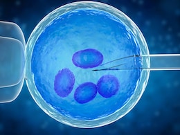 Explained: IVF में भ्रूण को कैसे फ्रीज किया जाता है? आईवीएफ में फ्रीज किए हुए भ्रूण का उपयोग करने के क्या लाभ हैं, जानिए Explained: IVF में भ्रूण को कैसे फ्रीज किया जाता है? आईवीएफ में फ्रीज किए हुए भ्रूण का उपयोग करने के क्या लाभ हैं, जानिए