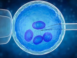 हर 6 में से 1 महिला को गर्भधारण करने में होती है परेशानी, जानिए हर साल आईवीएफ के जरिए कितने बच्चे पैदा होते हैं