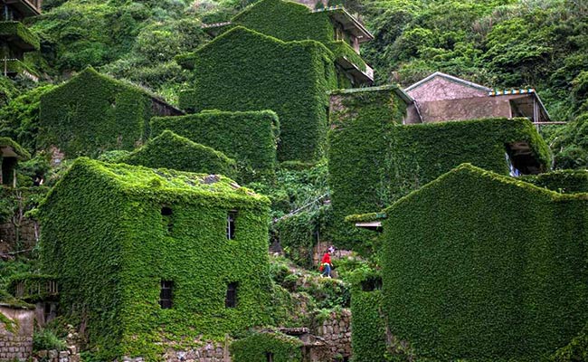 Nature Has Taken Over This Abandoned Village, And The Photos Are Stunning