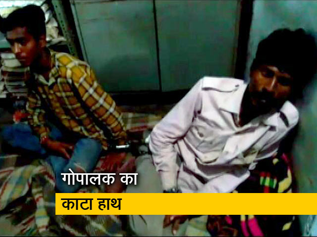 गायों की तलाश करते शख्स को पेड़ से बांधकर पीटा, काट दिया हाथ