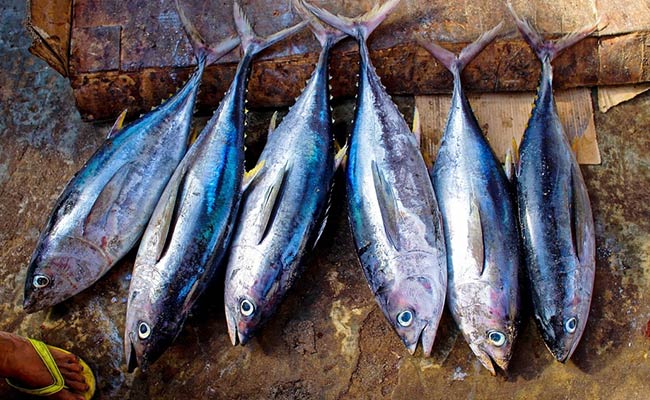 US Man Addicted To Tuna Fish Wears Its Juice As Cologne, Eats 15 Cans A Week