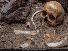 Burial Site Of Babies Wearing Skulls Of Other Children Stun Archaeologists Burial Site Of Babies Wearing Skulls Of Other Children Stun Archaeologists