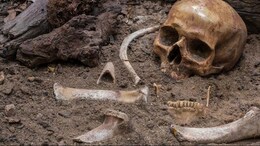 5 Skeletons Missing Hand And Feet Found At Hitler's Military Headquarters In Poland