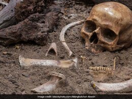 5 Skeletons Missing Hand And Feet Found At Hitler's Military Headquarters In Poland 5 Skeletons Missing Hand And Feet Found At Hitler's Military Headquarters In Poland