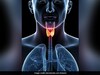 थायराइड की बीमारी को क्यों माना जाता है खतरनाक? जानें Thyroid आपके शरीर को कैसे बर्बाद कर सकता है