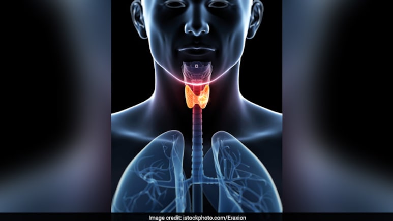 थायराइड की बीमारी को क्यों माना जाता है खतरनाक? जानें Thyroid आपके शरीर को कैसे बर्बाद कर सकता है