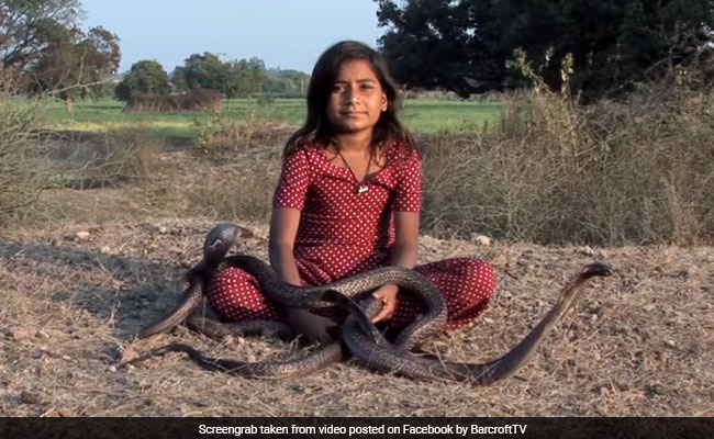 ये है भारत की 'विष कन्या', जहरीले कोबरा हैं खास दोस्त, रहती है सिर्फ उन्हीं के साथ