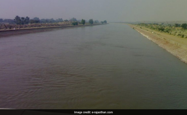 Dead Fish, Snakes In Indira Gandhi Canal, Rajasthan Stops Drinking Water Supply