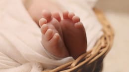 Delhi Man Takes Away Twin Daughters From Wife, Kills Them 2 Days After Birth