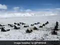 अंतरराष्‍ट्रीय योग दिवस: PM मोदी और मंत्रियों ने देशभर में किया योग, जवानों ने 18 हज़ार फीट की ऊंचाई पर किया सूर्य नमस्कार