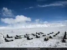 अंतरराष्ट्रीय योग दिवस: PM मोदी और मंत्रियों ने देशभर में किया योग, जवानों ने 18 हज़ार फीट की ऊंचाई पर किया सूर्य नमस्कार अंतरराष्ट्रीय योग दिवस: PM मोदी और मंत्रियों ने देशभर में किया योग, जवानों ने 18 हज़ार फीट की ऊंचाई पर किया सूर्य नमस्कार